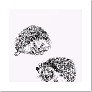 Cute Hedgehogs Print Posters and Art